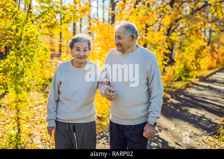 Happy senior citizens in the autumn forest. family, age, season and people concept - happy senior couple walking over autumn trees background Stock Photo