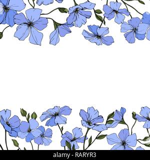 Vector. Blue flax. Floral botanical flower with green leaves. Engraved ink art. Floral flower border design. Stock Vector