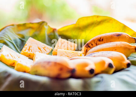 Fruit plate with tropical fruit bananas and pineapple slices on lotus leaf Stock Photo