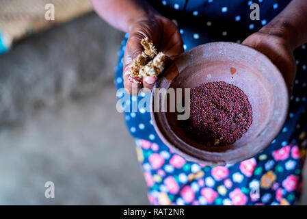 Sorghum grains in wooden bowl in hands of Sri Lankan woman Stock Photo