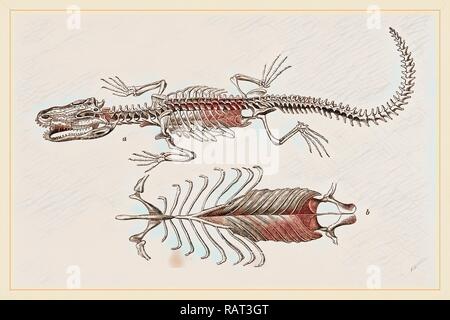 Skeleton and Sternum of Pike nosed Caiman or Alligator. Reimagined by Gibon. Classic art with a modern twist reimagined Stock Photo