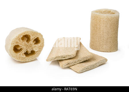 Loofah sponges isolated on white background Stock Photo