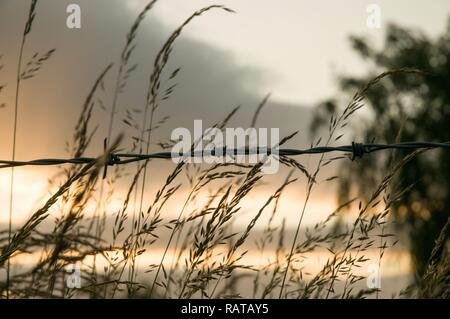 Sunset over the Cheshire countryside, through a barbed wire fence Stock Photo