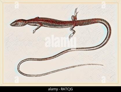 Six-lined Tachydromus. Reimagined by Gibon. Classic art with a modern twist reimagined Stock Photo