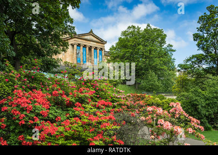 Rhododendron bushes in the Princess Street Gardens in Edinburgh, Scotland, United Kingdom, Europe. Stock Photo