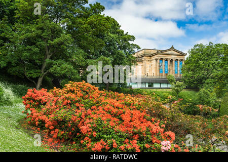 Rhododendron bushes in the Princess Street Gardens in Edinburgh, Scotland, United Kingdom, Europe. Stock Photo