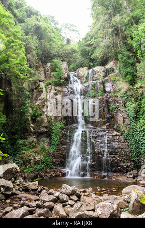 Tropical waterfall in Australia within green and vivid rainforest (Minnamurra Rainforest, Budderoo National Park, Australia) Stock Photo