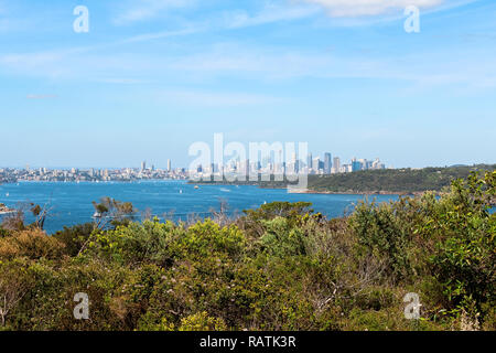 Sydney skyline as seen from Manly Beach coastal walk with trees in the foreground on a clear blue day with light clouds (Sydney, Australia) Stock Photo