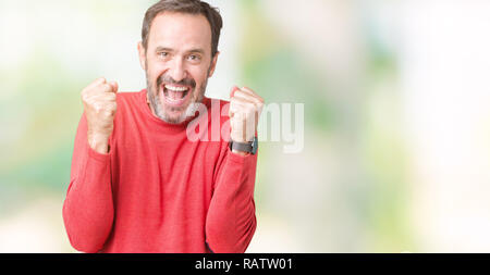 Handsome middle age hoary senior man wearing winter sweater over isolated background celebrating surprised and amazed for success with arms raised and Stock Photo