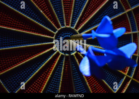 Game of darts, person playing darts hitting bulls eye Stock Photo