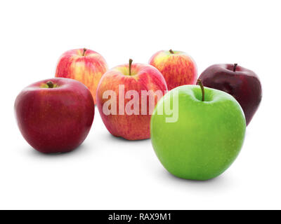 Group of apples varieties (New Zealand Eve, Granny Smith, Ambrosia, Green, Gala, Divine, Red, Fuji) Isolate on White Background with Clipping Path Stock Photo