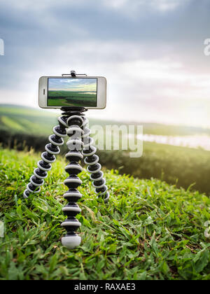 Close-up image of smartphone take a landscape photo on flexible tripod at tea farm in northern of Thailand Stock Photo