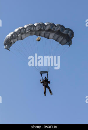 Official of the Federal Police, special unit, GSG9, in a parachute jump, during a public event, Stock Photo