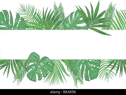 Vector tropical banner, frame, wedding invitation, label, postcard. Green palm leaves areca, sago, monstera, kentia (howea) isolated on white backgrou Stock Vector