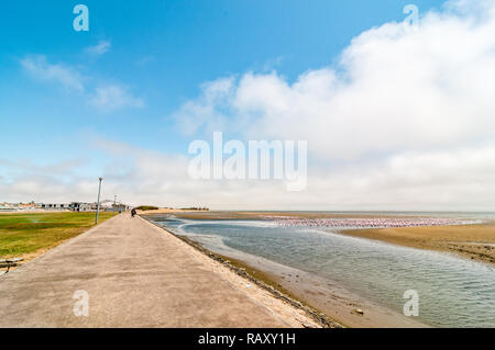 Walvis Bay seafront with flamingos, Namibia Stock Photo