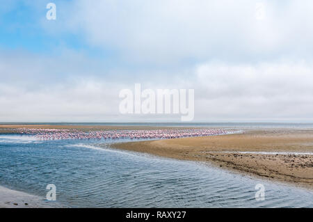 Walvis Bay seafront with flamingos, Namibia Stock Photo