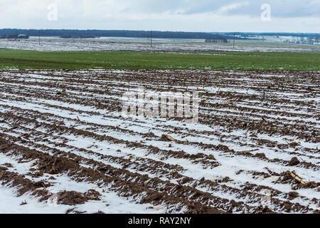 On the plowed field lies a bit of snow. Dark forest surrounds the fields. The beginning of winter in Europe. Stock Photo