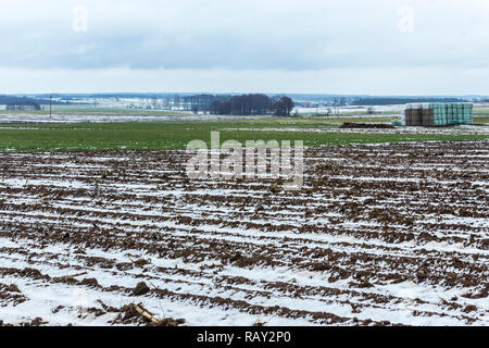 On the plowed field lies a bit of snow. Dark forest surrounds the fields. The beginning of winter in Europe. Stock Photo