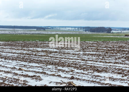 On the plowed field lies a bit of snow. Dark forest surrounds the fields. The beginning of winter in Europe. Stock Photo