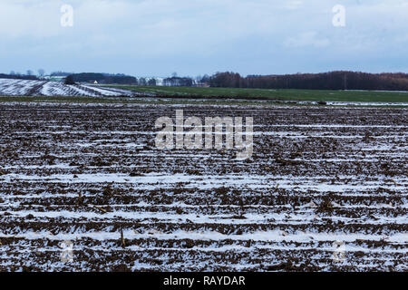 On the plowed field lies a bit of snow. Dark forest surrounds the fields. The beginning of winter in Europe. Stock Photo