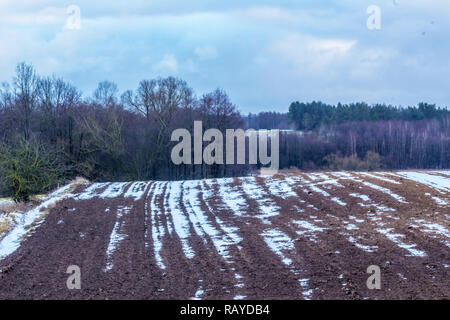 On the plowed field lies a bit of snow. Dark forest surrounds the fields. The beginning of winter in Europe. Stock Photo