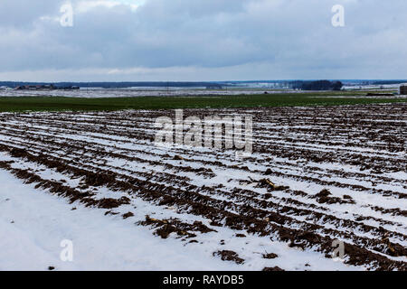 On the plowed field lies a bit of snow. Dark forest surrounds the fields. The beginning of winter in Europe. Stock Photo