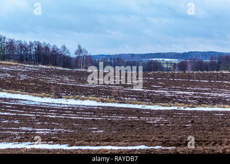 On the plowed field lies a bit of snow. Dark forest surrounds the fields. The beginning of winter in Europe. Stock Photo