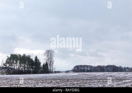 On the plowed field lies a bit of snow. Dark forest surrounds the fields. The beginning of winter in Europe. Stock Photo