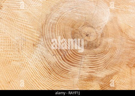 Light brown, slightly cracked wood texture Stock Photo
