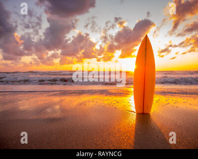 surfboard on the beach in sea shore at sunset time with beautiful