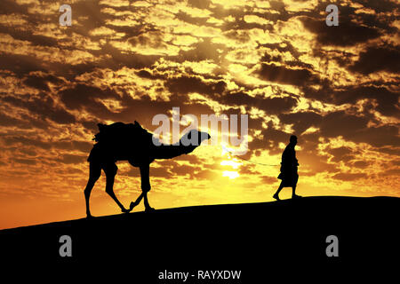 Walking with camel through Thar Desert in India, Show silhouette and dramatic sky Stock Photo