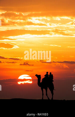 Walking with camel through Thar Desert in India, Show silhouette and dramatic sky Stock Photo