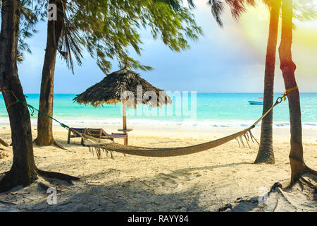 Hammock chair hotsell with umbrella