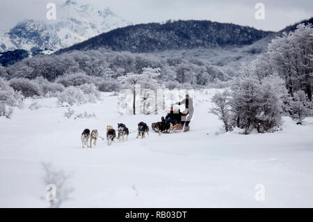 Beijing, Argentina. 8th July, 2018. Tourists travel in a sledge pulled by dogs in the hatchery 'Siberians of Fire' in Ushuaia, Tierra del Fuego Province, Argentina, July 8, 2018. Credit: Martin Zabala/Xinhua/Alamy Live News Stock Photo