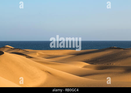 Long shadows on cascading sand dunes in the desert with view of the ocean / sea during sunset (Dunas de Maspalomas, Gran Canaria, Spain, Europe) Stock Photo