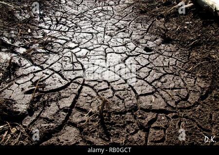 Brown dried and cracked earth mud background. Closeup of dry cracked dark soil. erosion, extreme drought and global warming concept - Image Stock Photo