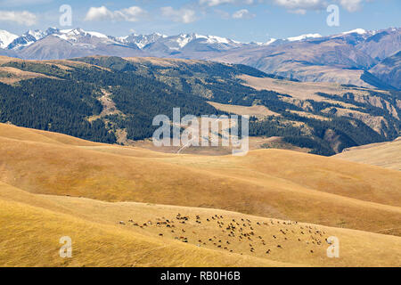 View over the Assy plateau where the nomads go to spend the summer, Kazakhstan. Stock Photo