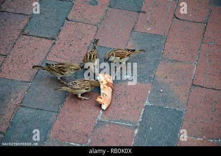 Duronn James Stock Photo