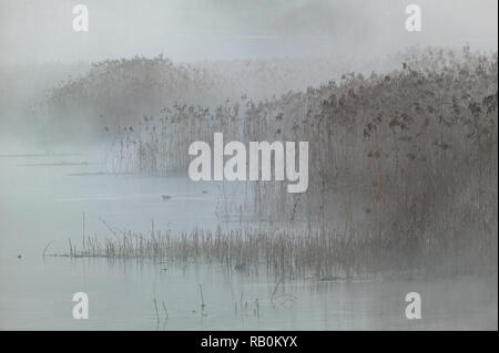 Fog at the sources of the Pescara river.Popoli, Pescara province, Abruzzo, Italy, Europe Stock Photo