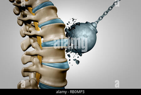 Strong spine and spinal strength human anatomy concept as medical health care body symbol with the skeletal bone structure and intervertebral discs. Stock Photo