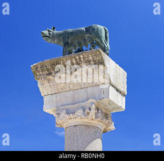 Roman she-wolf statue over a column in Aquileia, Italy, next to the Basilica Stock Photo