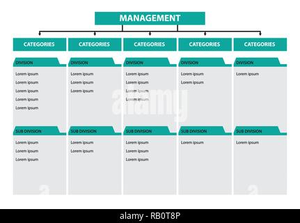 Infographic tree diagram management categories division subdivision timeline Stock Vector