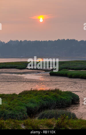 bright orange sunset over wetlands in washington state during august afternoon Stock Photo