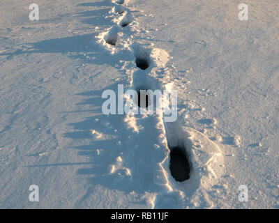 Wet footsteps in snow at frozen lake with water layer. Stock Photo