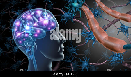 Brain nerve cells and nervous system anatomy concept as a human neurology and neuron function disorder symbol for multiple sclerosis or alzheimer. Stock Photo