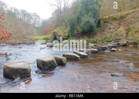 Stepping Stones across the Hebden Beck which runs through Hardcastle Crags in Hebden Bridge,West Yorkshire Stock Photo