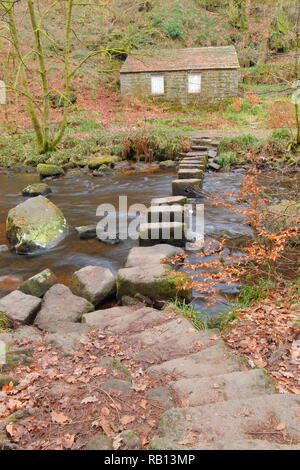 Stepping Stones across the Hebden Beck which runs through Hardcastle Crags in Hebden Bridge,West Yorkshire Stock Photo