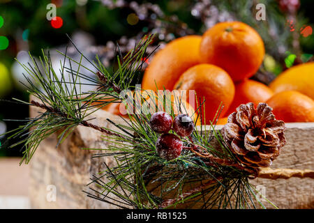 Christmas and New Year tree in a pot on oranges and boxes of gifts. Stock Photo