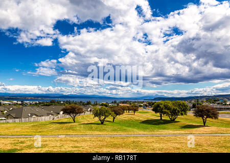 Green lawn with trees and lake view in Taupo, New Zealand Stock Photo