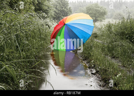 lonely big colored umbrella in the landscape and reflecting in water Stock Photo